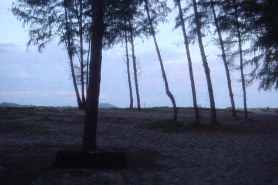 กิจกรรมกีฬาชายหาดสัมพันธ์ คณะศึกษาศาสตร์ ณ เกาะอาดัง ภาพที่ 84