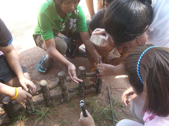 กิจกรรมเตรียมซุ้มแสดงความยินดีกับบัณฑิต คณะศึกษาศาสตร์ ภาพที่ 43