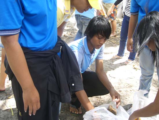 โครงการเยาวชนคนดีบำเพ็ญประโยชน์ ณ หาดปากเมง ภาพที่ 5