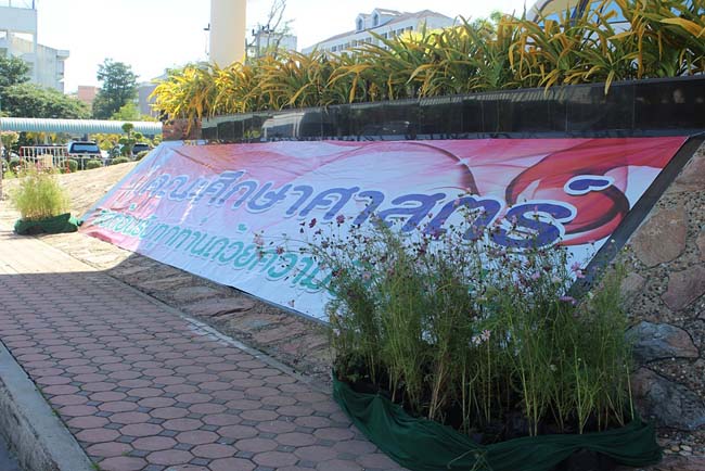 มหกรรมแลกเปลี่ยนเรียนรู้โครงการยกระดับคุณภาพครูทั้งระบบโดยใช้กระบวนการสร้างระบบพี่เลี้ยง ( Coaching and Mentoring ) วันศุกร์ที่ 11 ตุลาคม 2556 ณ มหาวิทยาลัยทักษิณ วิทยาเขตสงขลา ภาพที่ 170