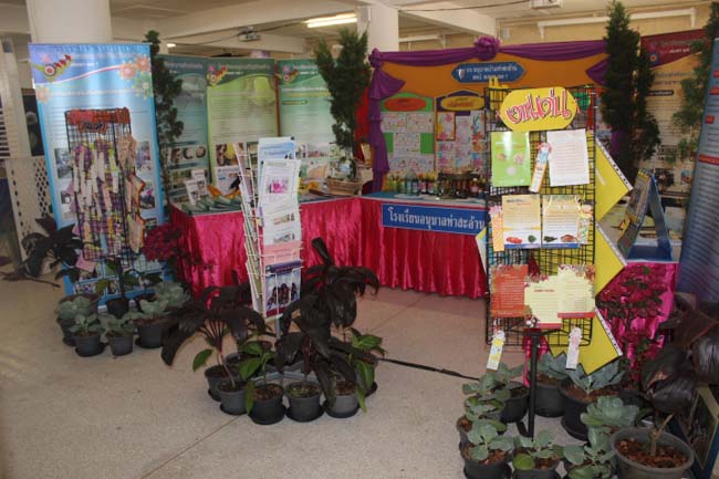 งานทักษิณวิชาการ ประจำปี 2556"บูรณาการนำความรู้ มุ่งสู่ชุมชน"ระหว่างวันที 26 - 28 สิงหาคม 2556 ณ มหาวิทยาลัยทักษิณ วิทยาเขตสงขลา ภาพที่ 298