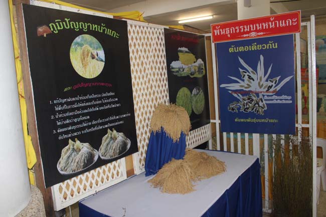 งานทักษิณวิชาการ ประจำปี 2556"บูรณาการนำความรู้ มุ่งสู่ชุมชน"ระหว่างวันที 26 - 28 สิงหาคม 2556 ณ มหาวิทยาลัยทักษิณ วิทยาเขตสงขลา ภาพที่ 304