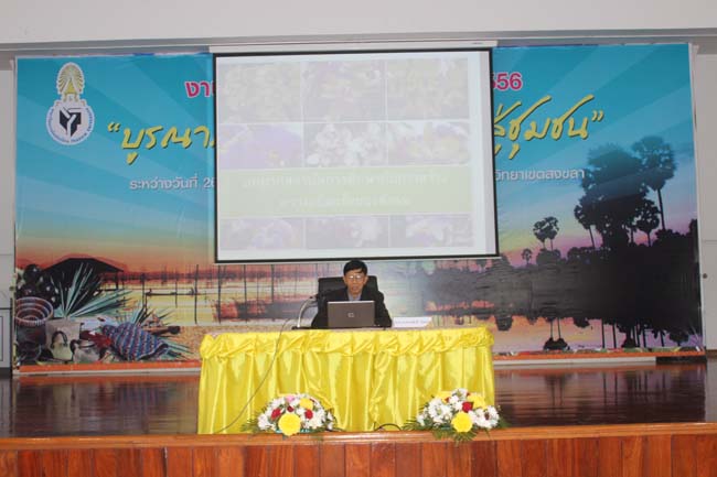 งานทักษิณวิชาการ ประจำปี 2556"บูรณาการนำความรู้ มุ่งสู่ชุมชน"ระหว่างวันที 26 - 28 สิงหาคม 2556 ณ มหาวิทยาลัยทักษิณ วิทยาเขตสงขลา ภาพที่ 493