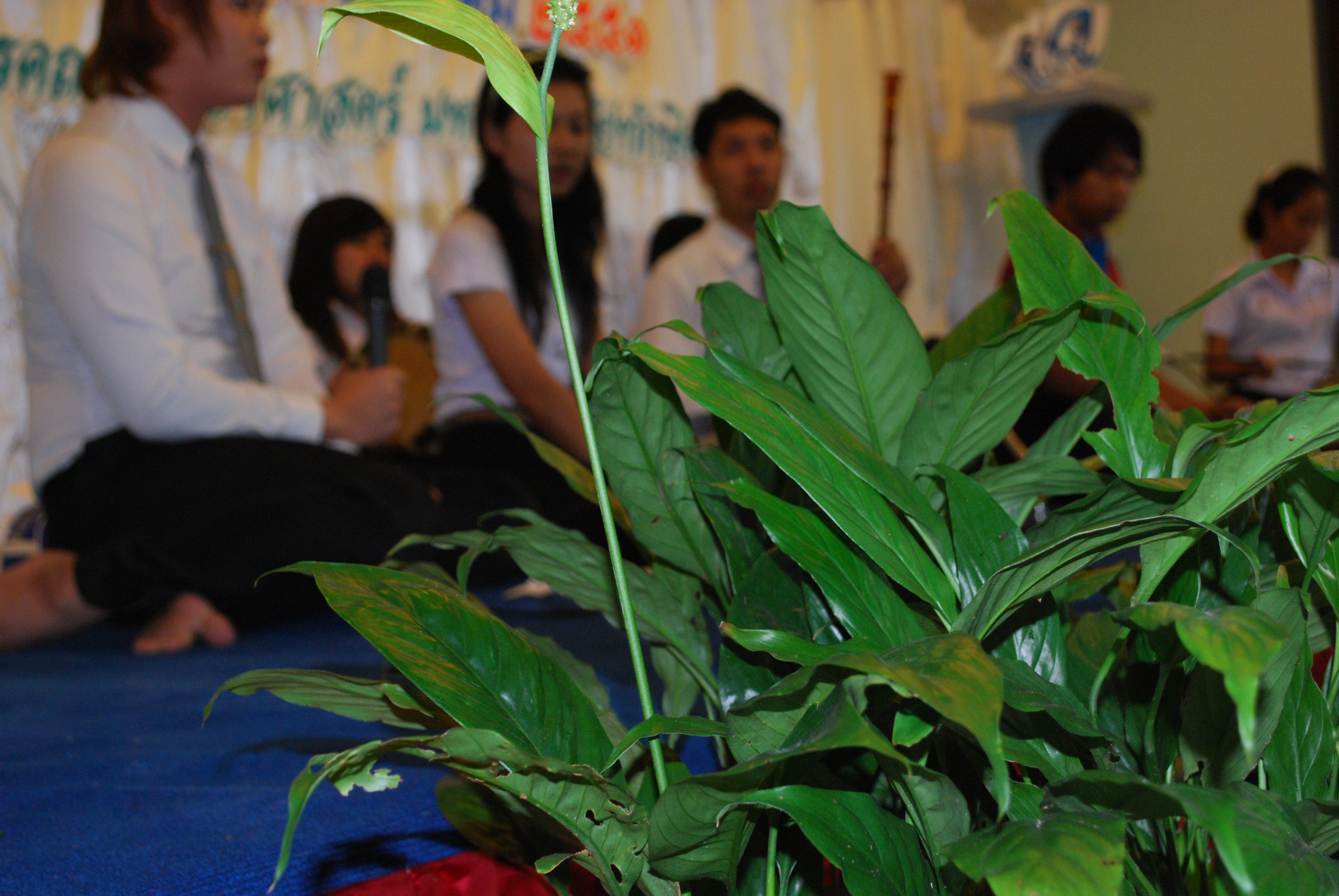 พิธีรดน้ำขอพรในงานครบรอบ 40 ปี คณะศึกษาศาสตร์ (ชุดที่ 1) ภาพที่ 30