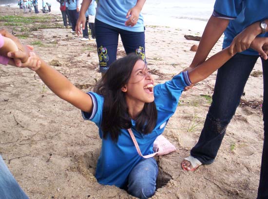 โครงการอนุรักษ์และบำเพ็ญประโยชน์ชายหาด ภาพที่ 39