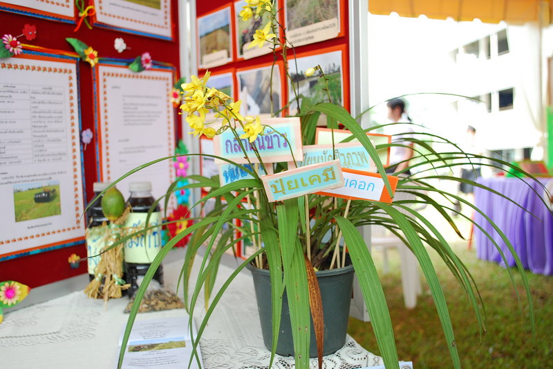 พิธีมอบของที่ระลึกในงานครบรอบ 40 ปี คณะศึกษาศาสตร์ ภาพที่ 131