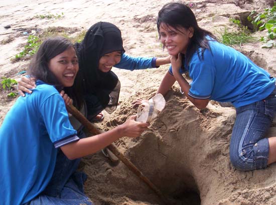โครงการอนุรักษ์และบำเพ็ญประโยชน์ชายหาด ภาพที่ 41