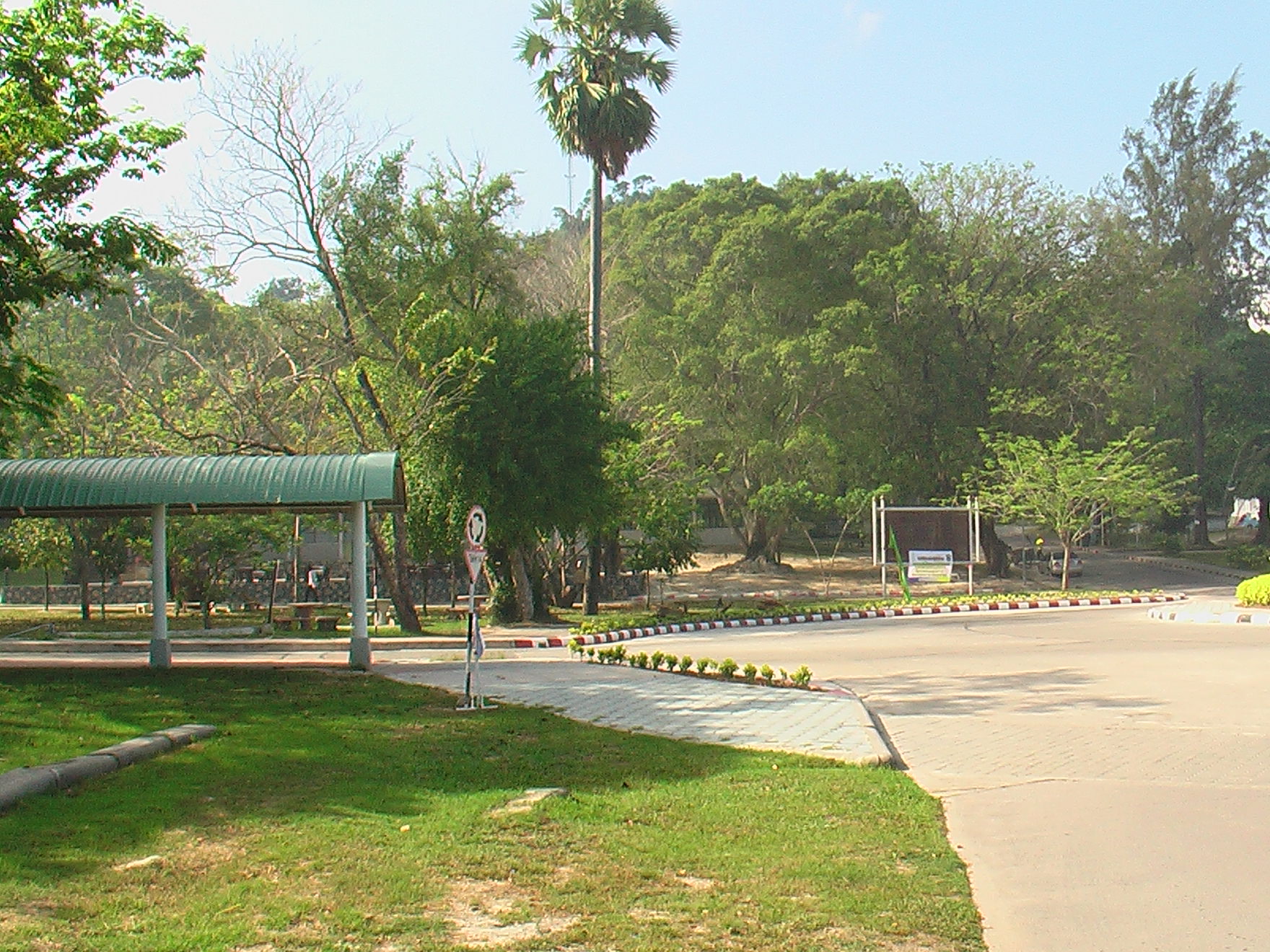 อาคารและบริเวณคณะศึกษาศาสตร์ ภาพที่ 3