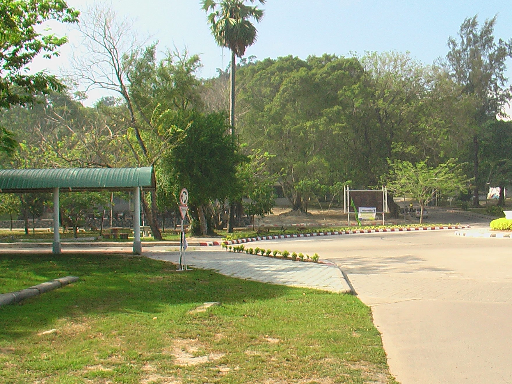 อาคารและบริเวณคณะศึกษาศาสตร์ ภาพที่ 4