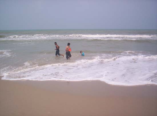 โครงการอนุรักษ์และบำเพ็ญประโยชน์ชายหาด ภาพที่ 97
