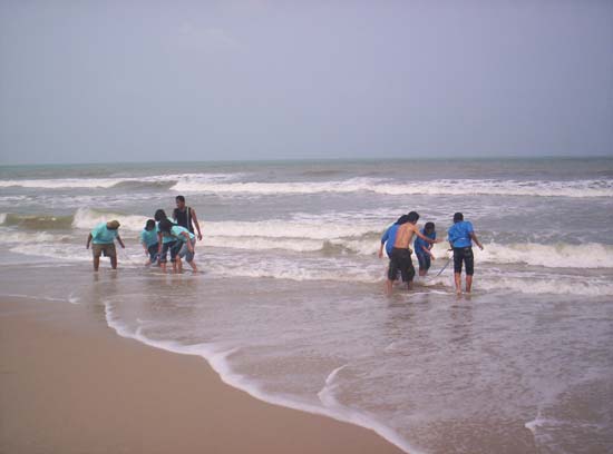 โครงการอนุรักษ์และบำเพ็ญประโยชน์ชายหาด ภาพที่ 99