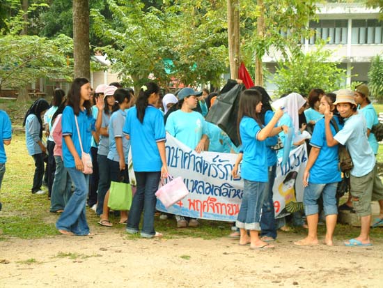 โครงการอนุรักษ์และบำเพ็ญประโยชน์ชายหาด ภาพที่ 105