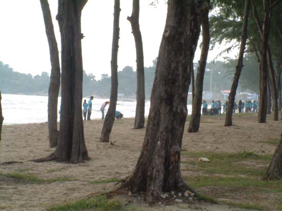 โครงการอนุรักษ์และบำเพ็ญประโยชน์ชายหาด ภาพที่ 108