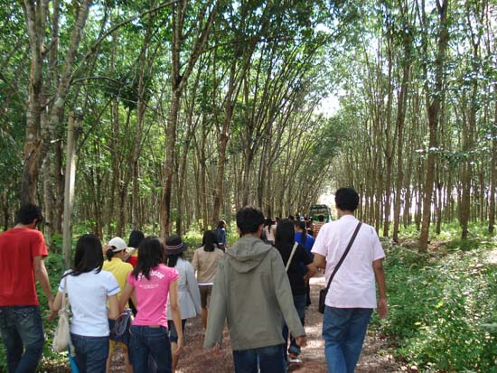 โครงการสัมมนาการถ่ายทอดภูมิปัญญาและสร้างความสัมพันธ์กับชุมชน ภาพที่ 6