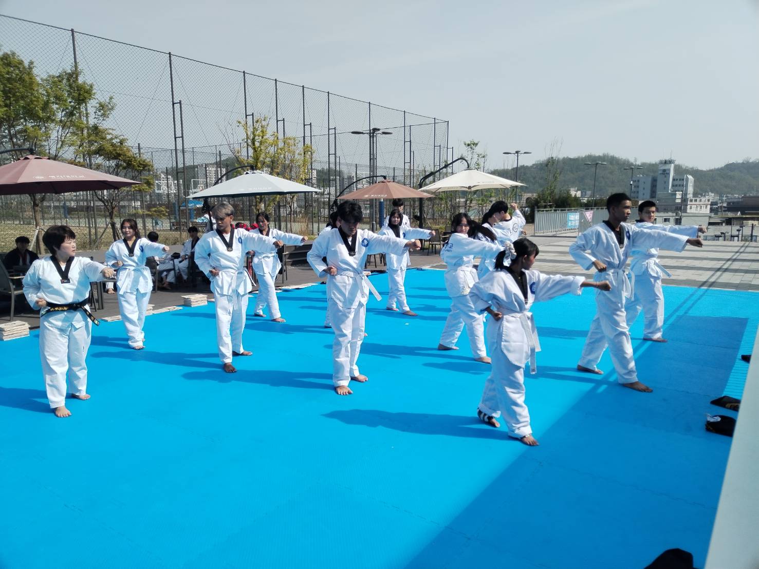 กิจกรรมเรียน เทควันโด้​​เกาหลี ณ​​ MYONGJI​ University​ Korea​