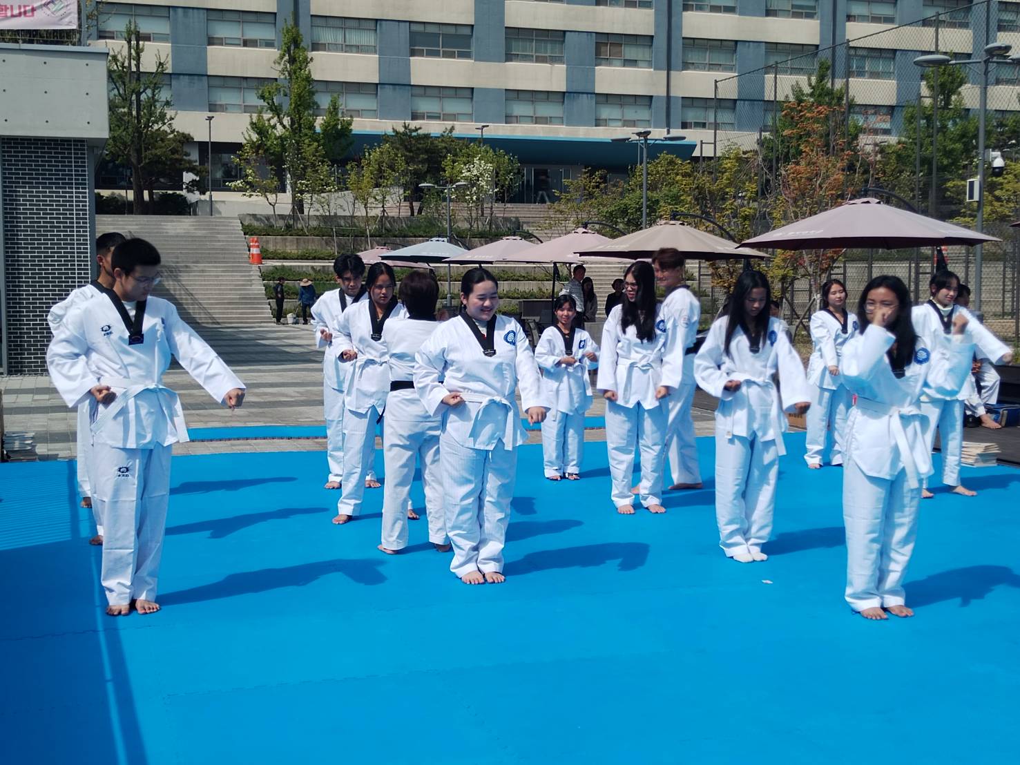 กิจกรรมเรียน เทควันโด้​​เกาหลี ณ​​ MYONGJI​ University​ Korea​
